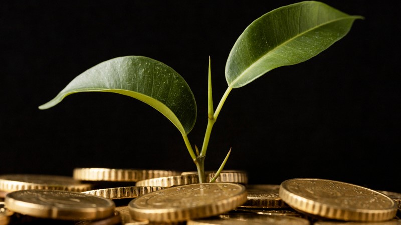 7 Motivos para Começar a Investir o Seu Dinheiro