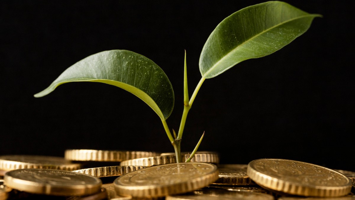 7 Motivos para Começar a Investir o Seu Dinheiro